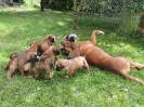 Ambra mit den D`s